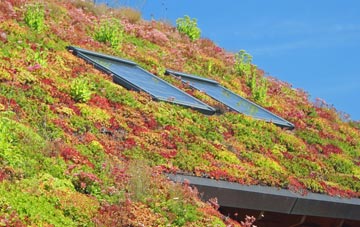 Cheldon living roof systems