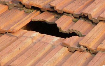 roof repair Cheldon, Devon